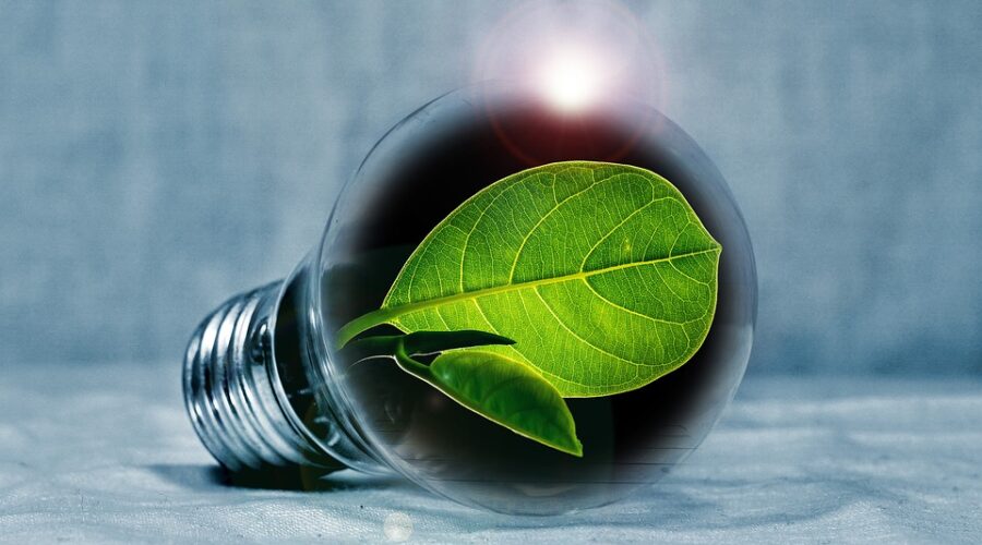 innovation au quotidien